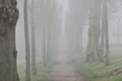 Rund um Wasserschloss Glücksburg im Nebel